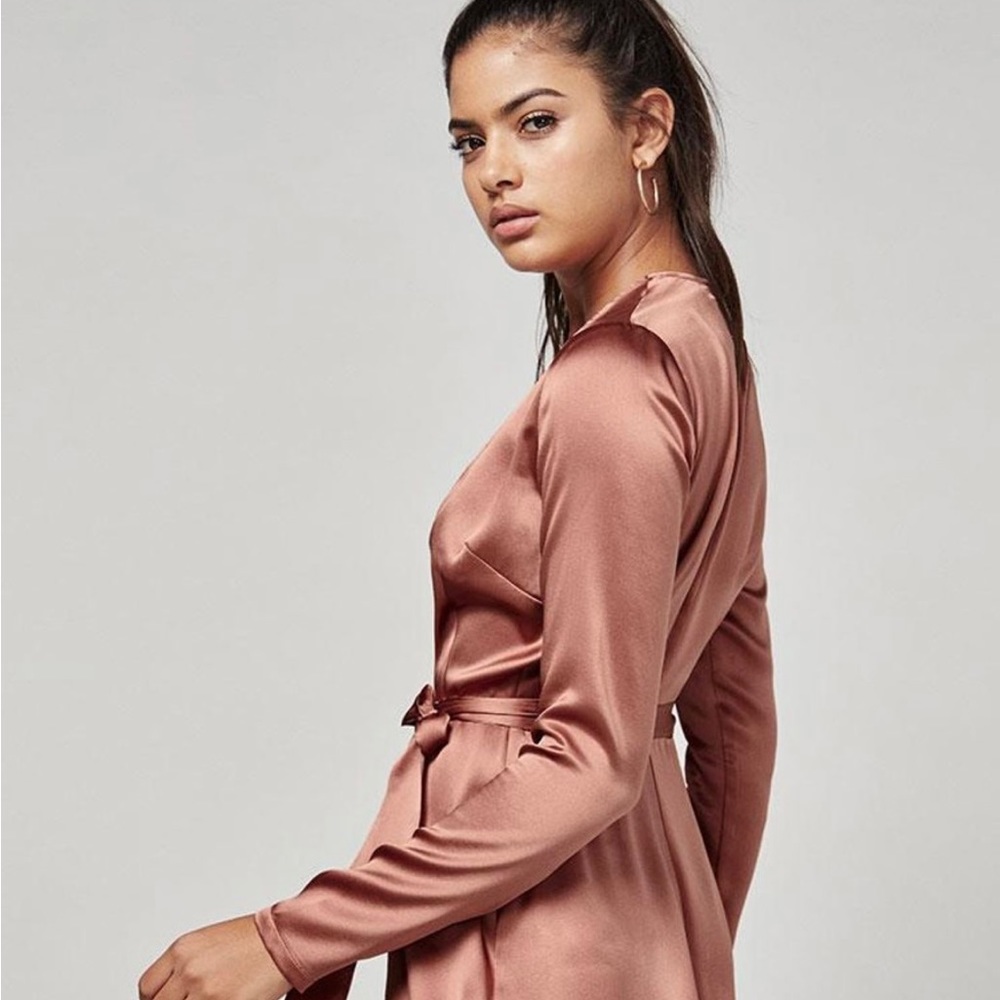 Reformation 100% Silk Dress in color Praline / Pink, XS / 0, V plunge tie waist